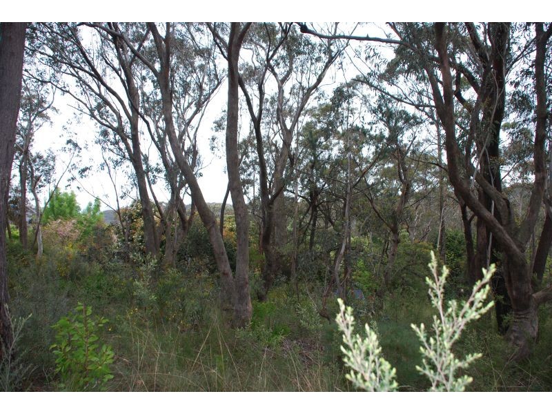 Wentworth Falls NSW 2782