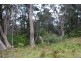 Katoomba NSW 2780