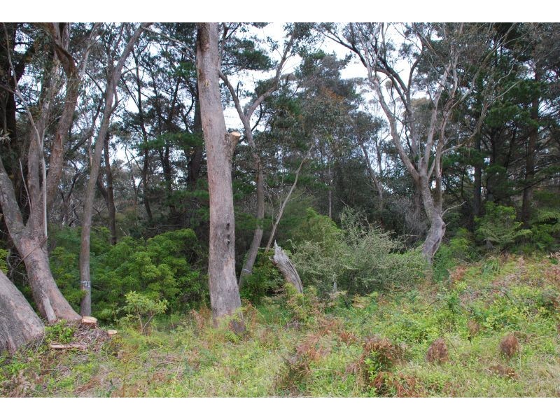 Katoomba NSW 2780