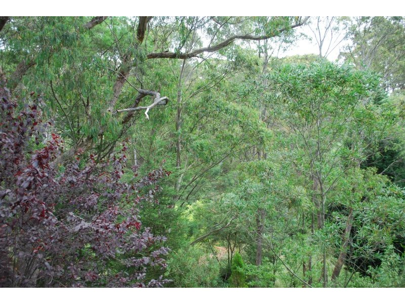 Katoomba NSW 2780