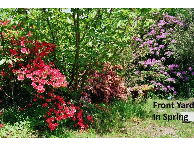 Wentworth Falls NSW 2782