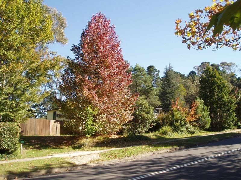 Wentworth Falls NSW 2782