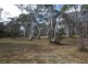21 First Avenue, Katoomba NSW 2780