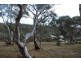 21 First Avenue, Katoomba NSW 2780