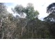 Katoomba NSW 2780