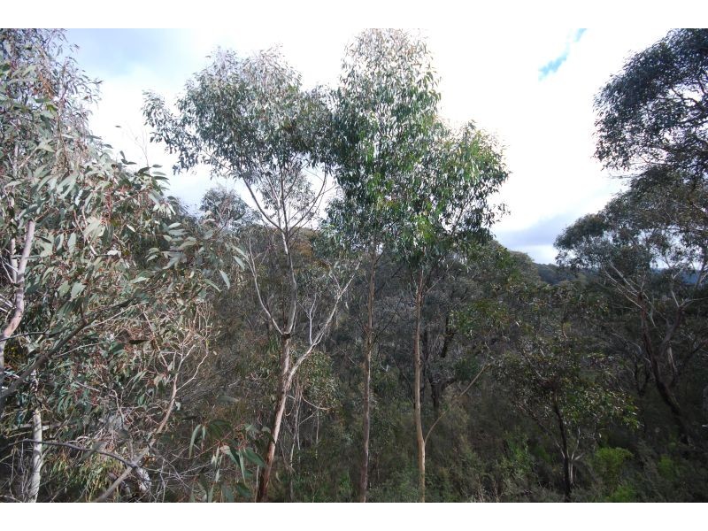 Katoomba NSW 2780