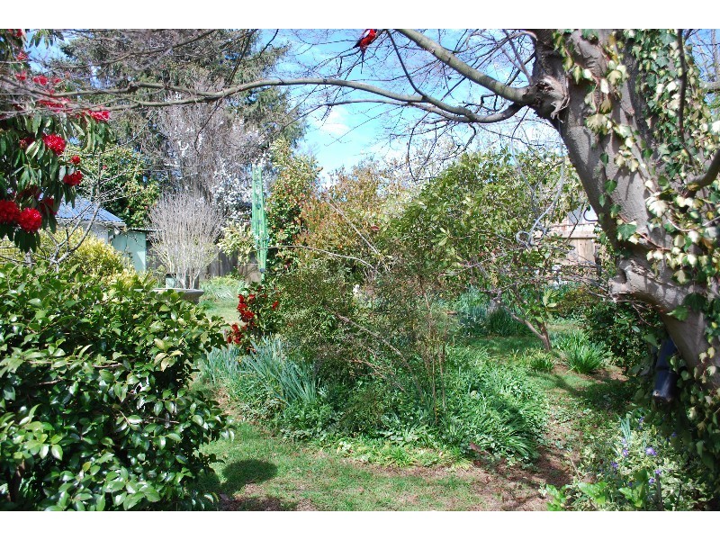 Katoomba NSW 2780