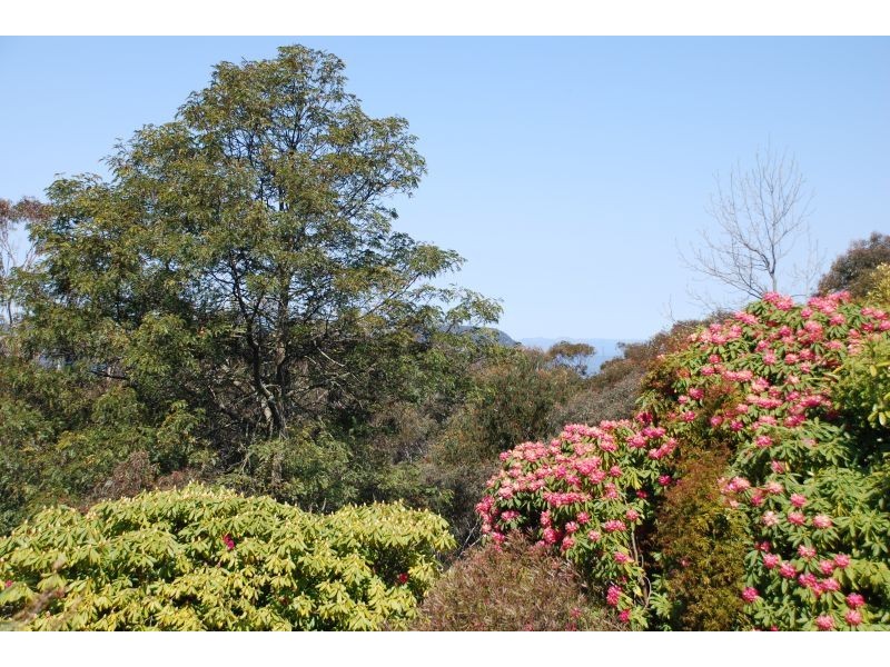 Katoomba NSW 2780