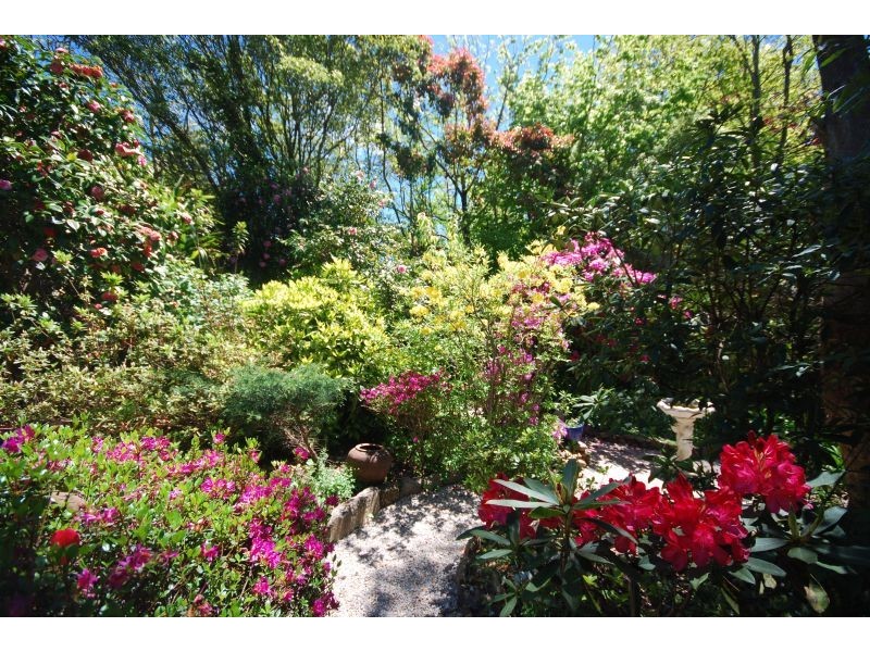 Wentworth Falls NSW 2782