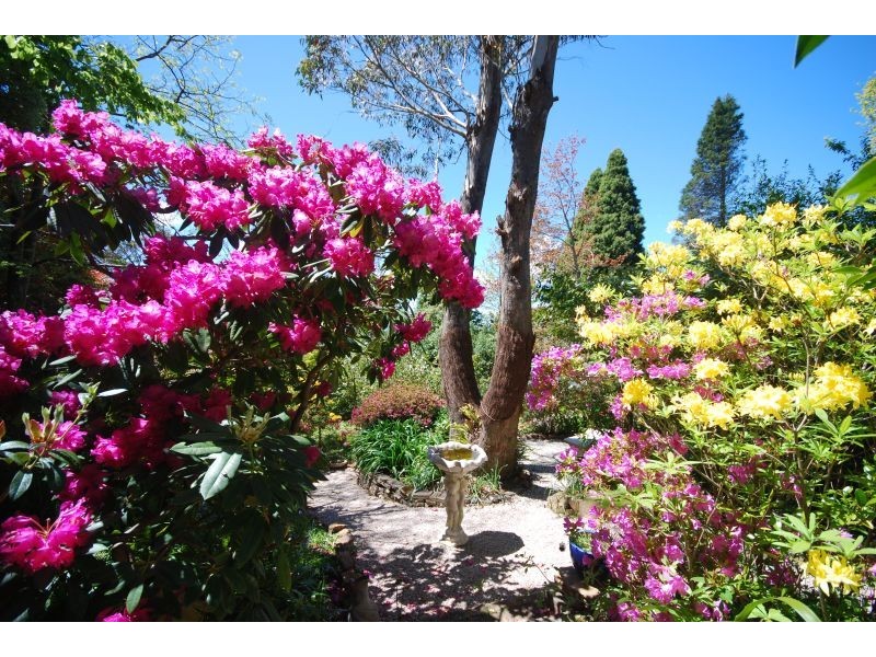 Wentworth Falls NSW 2782