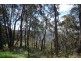 Wentworth Falls NSW 2782