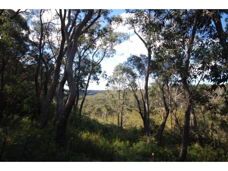 33 Rozelle Street, Wentworth Falls NSW 2782