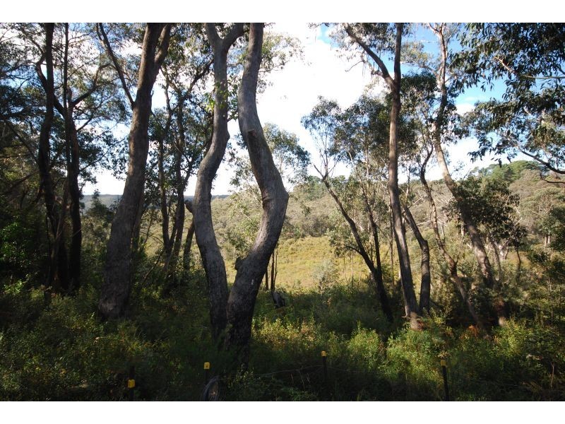 33 Rozelle Street, Wentworth Falls NSW 2782