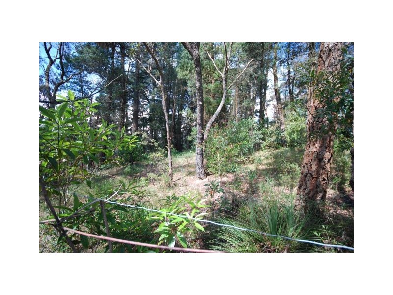 43 Second Avenue, Katoomba NSW 2780