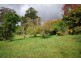 1 Ficus, Katoomba NSW 2780