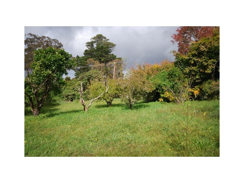 1 Ficus, Katoomba NSW 2780