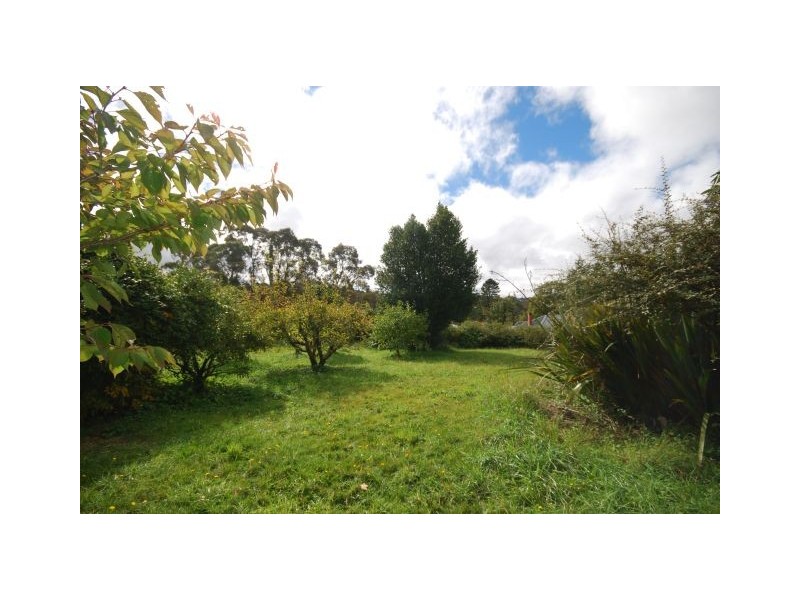 1 Ficus, Katoomba NSW 2780