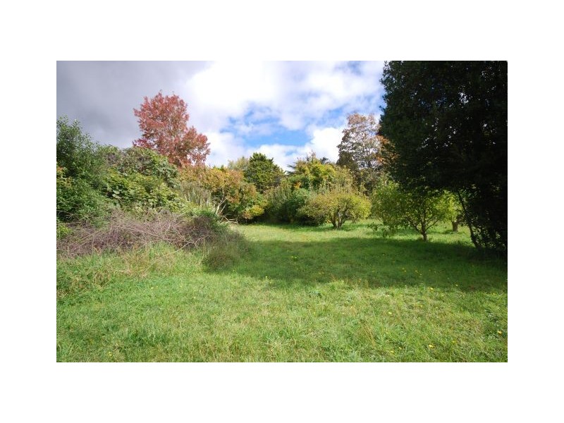 1 Ficus, Katoomba NSW 2780
