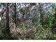 Wentworth Falls NSW 2782