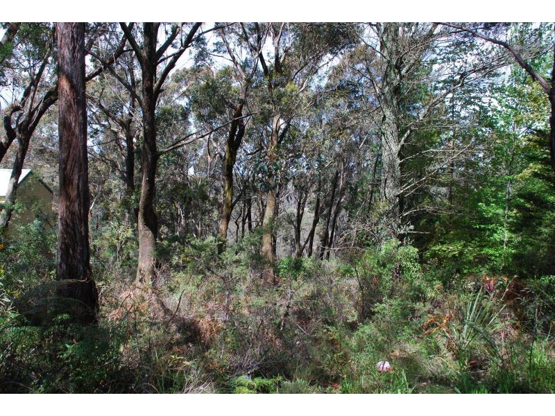 Wentworth Falls NSW 2782