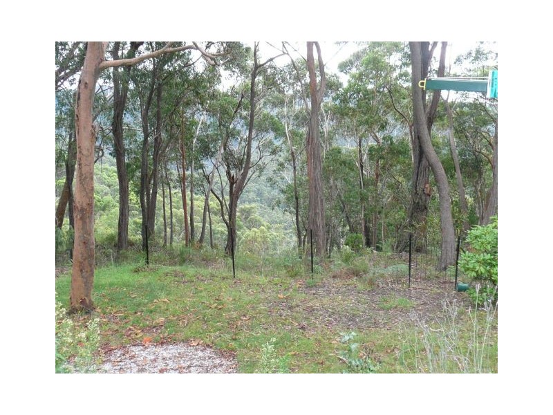 Wentworth Falls NSW 2782