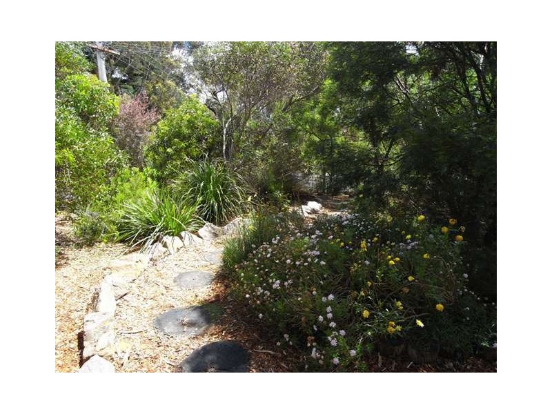 Katoomba NSW 2780
