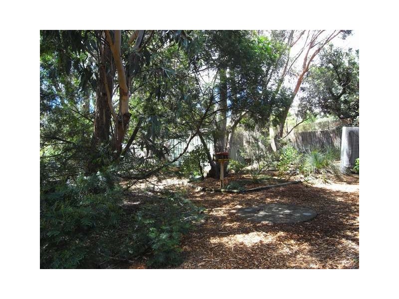 Katoomba NSW 2780