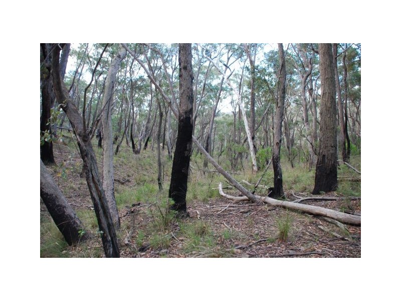 Mount Victoria NSW 2786