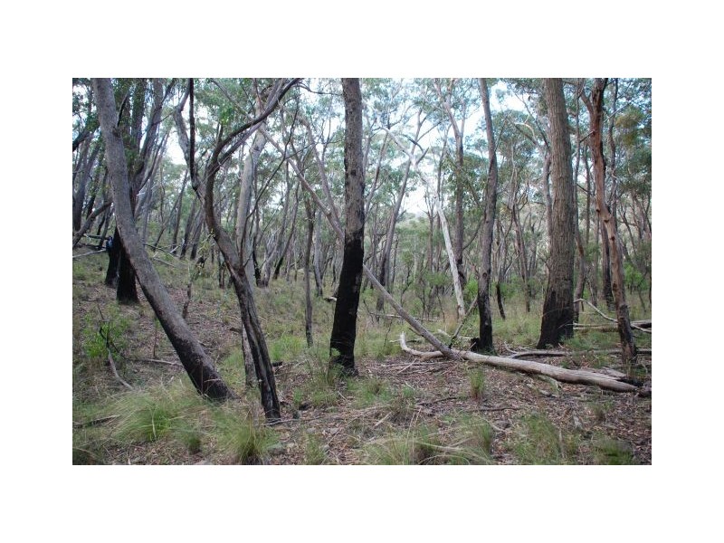 Mount Victoria NSW 2786