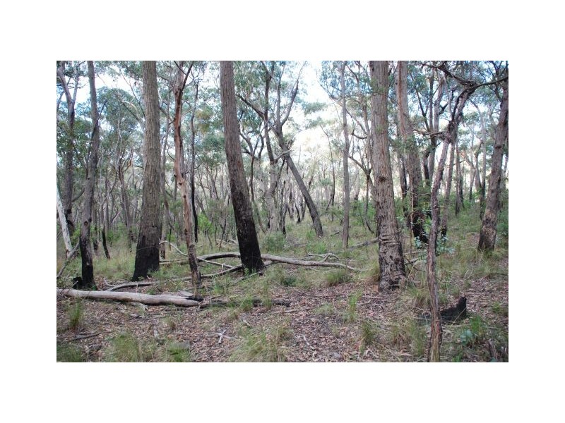 Mount Victoria NSW 2786