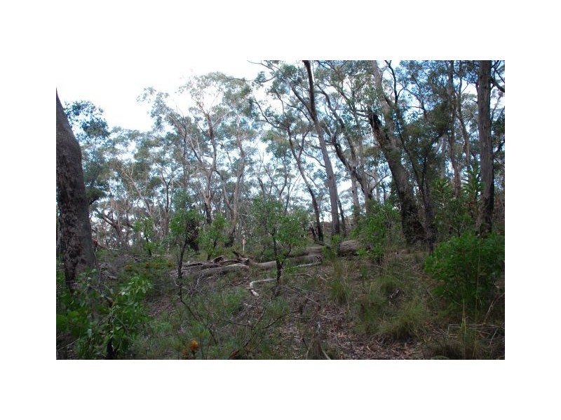 Mount Victoria NSW 2786