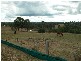 Mulgoa NSW 2745