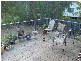 Tinonee NSW 2430