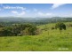 3 Macadamia Lane, Federal NSW 2480