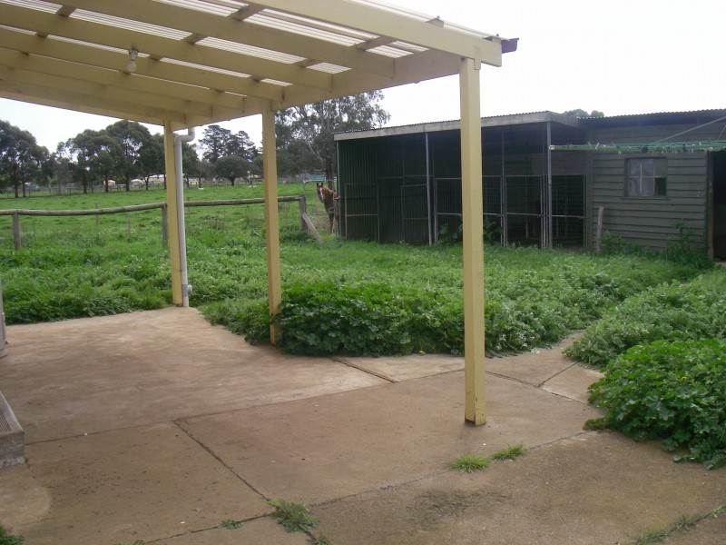 8 White street, Longwarry VIC 3816