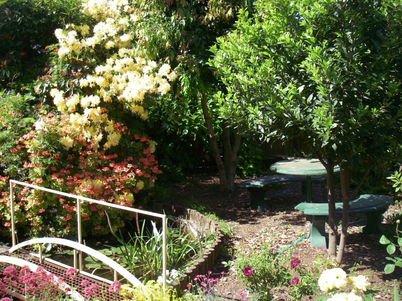 6 main south road, Drouin VIC 3818