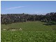 45 box Road, Drouin VIC 3818