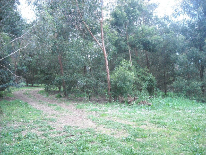 Drouin VIC 3818