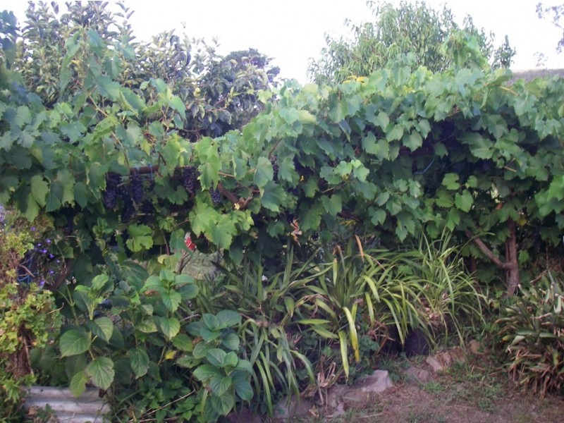 714 Coalville Road, Coalville VIC 3825