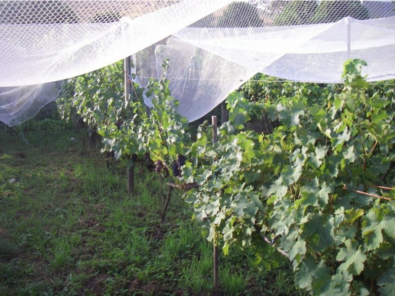 714 Coalville Road, Coalville VIC 3825