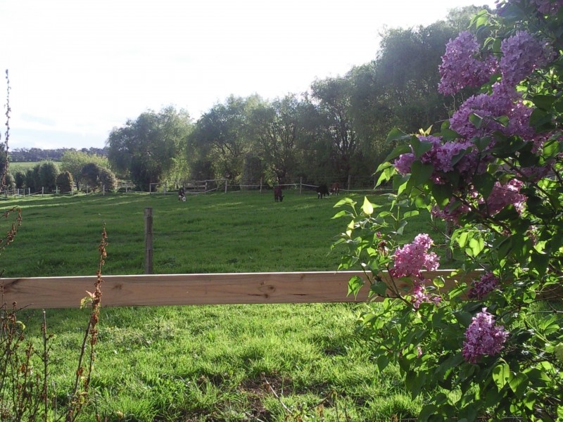 106 shillinglaw road, Drouin VIC 3818