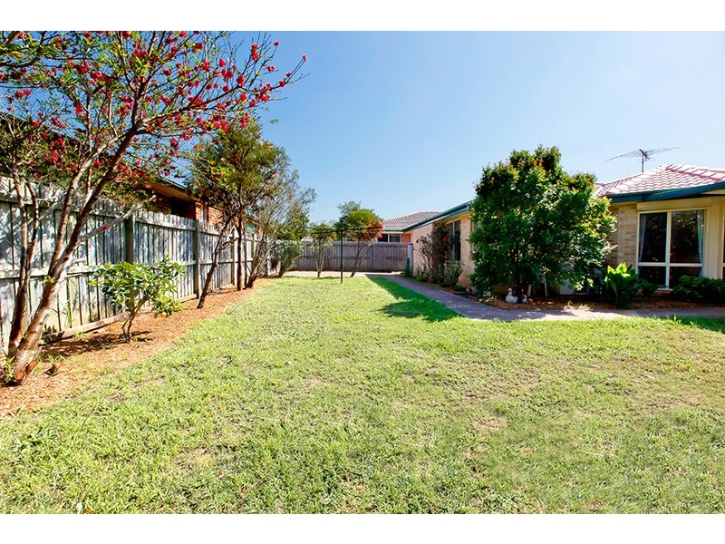 29 Daintree Drive, Wattle Grove NSW 2173