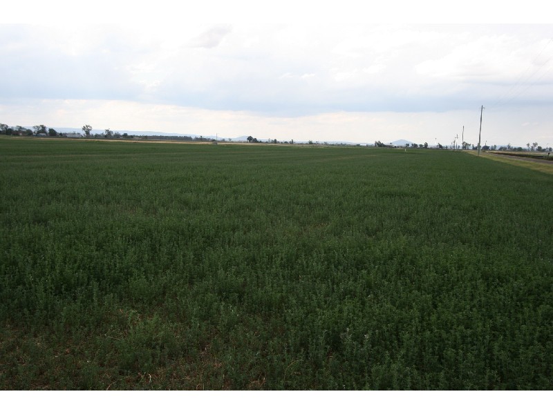 Glenore Grove QLD 4342