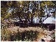 Cogra Bay NSW 2083
