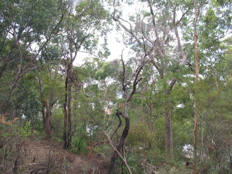 Mooney Mooney NSW 2083