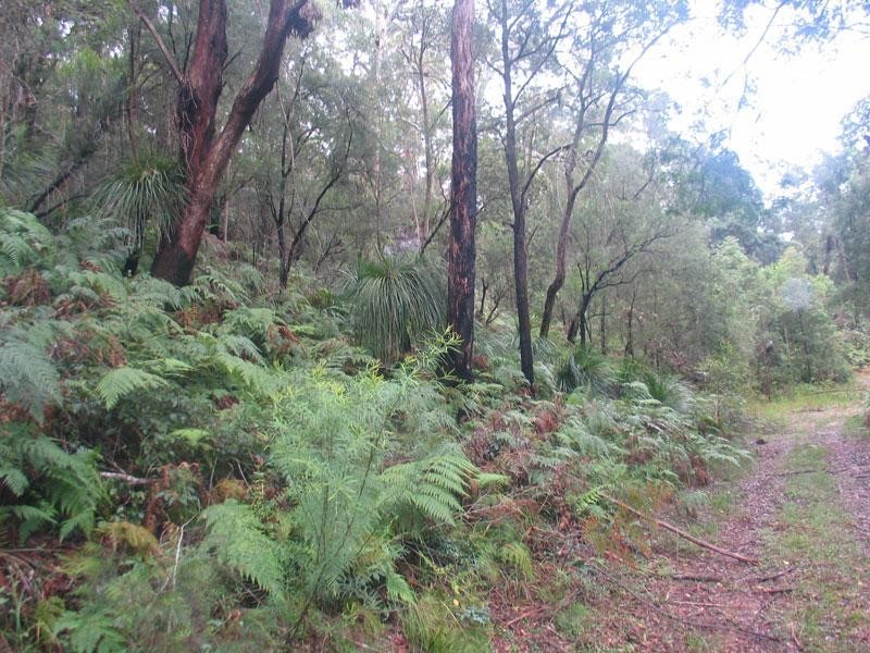 Mooney Mooney Creek NSW 2250