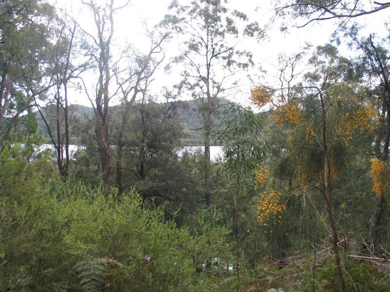 Wendoree Park NSW 2250