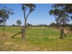 Lot 1 Wombala Road, Berrima NSW 2577