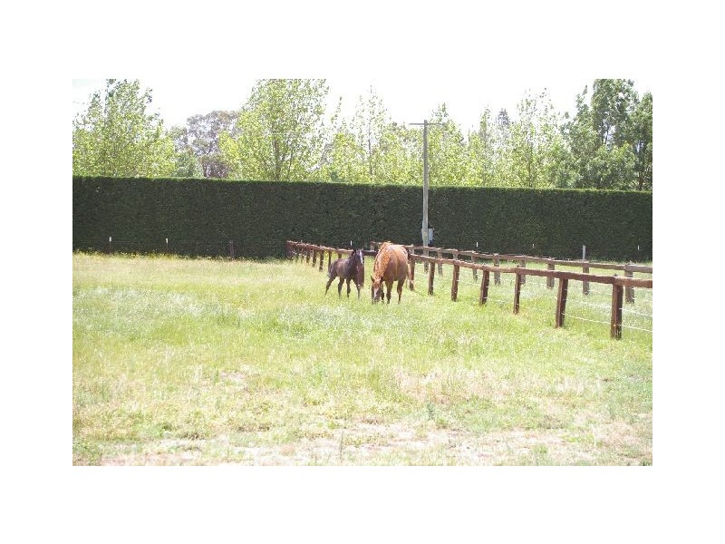 232 Iona Park Road, Moss Vale NSW 2577
