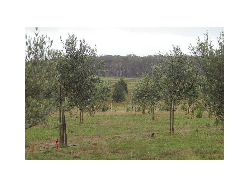 Lot 285 Wombeyan Caves rd, High Range NSW 2575
